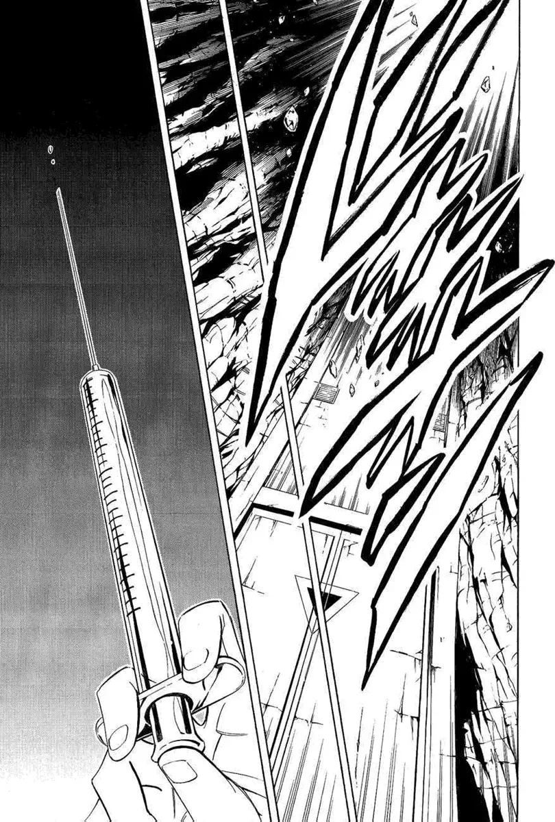 Shaman King (Kanzenban Edition) Capítulo 291 - página 13