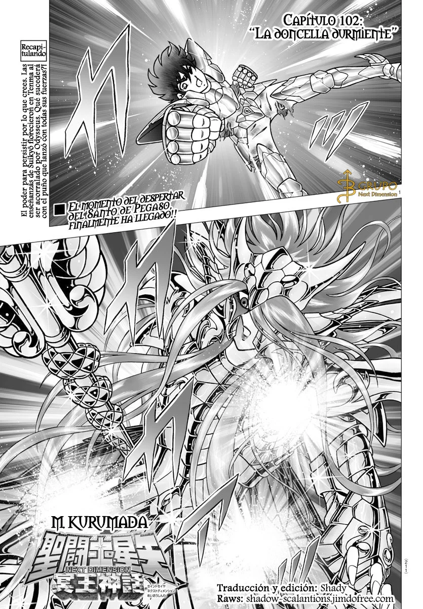 Saint Seiya: Next Dimension Capítulo 102 - página 1