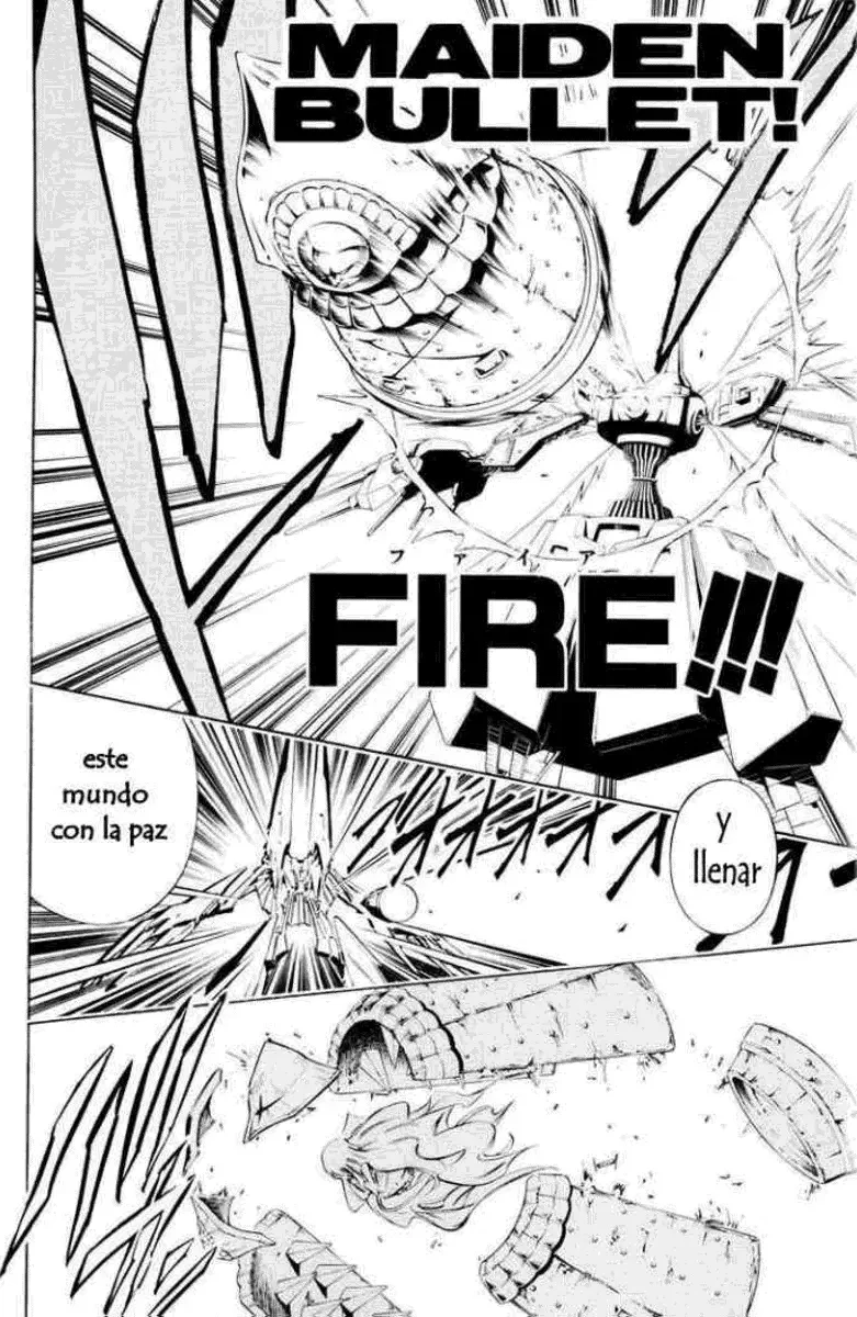 Shaman King (Kanzenban Edition) Capítulo 299 - página 42