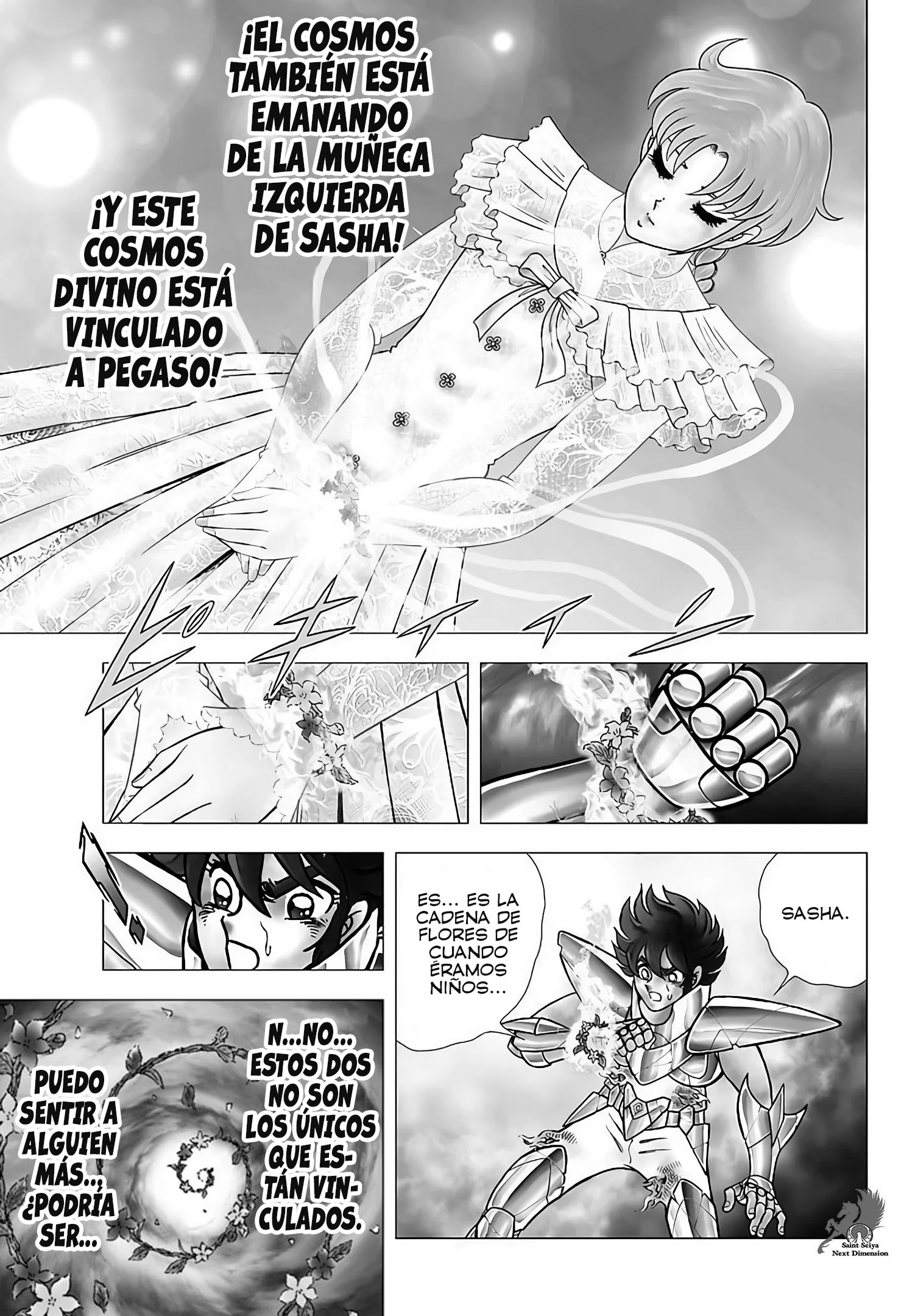 Saint Seiya: Next Dimension Capítulo 105 - página 13