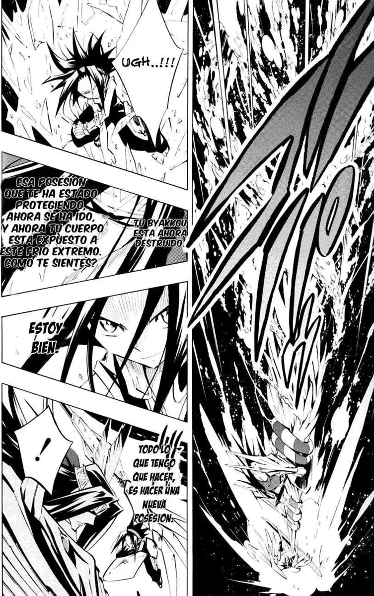 Shaman King (Kanzenban Edition) Capítulo 294 - página 14