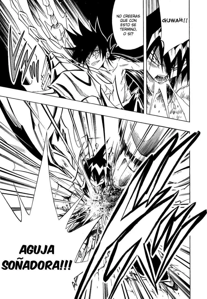 Shaman King (Kanzenban Edition) Capítulo 291 - página 9