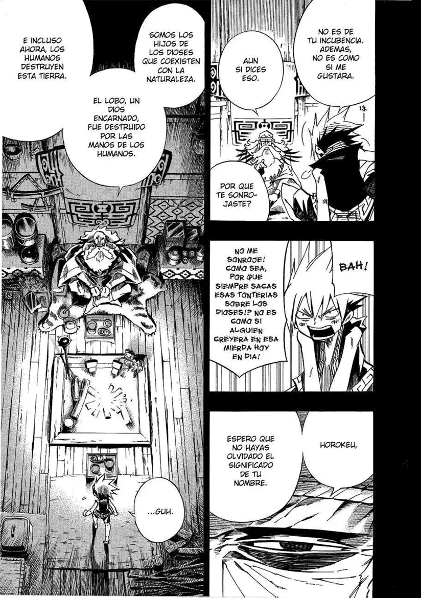 Shaman King (Kanzenban Edition) Capítulo 288 - página 9