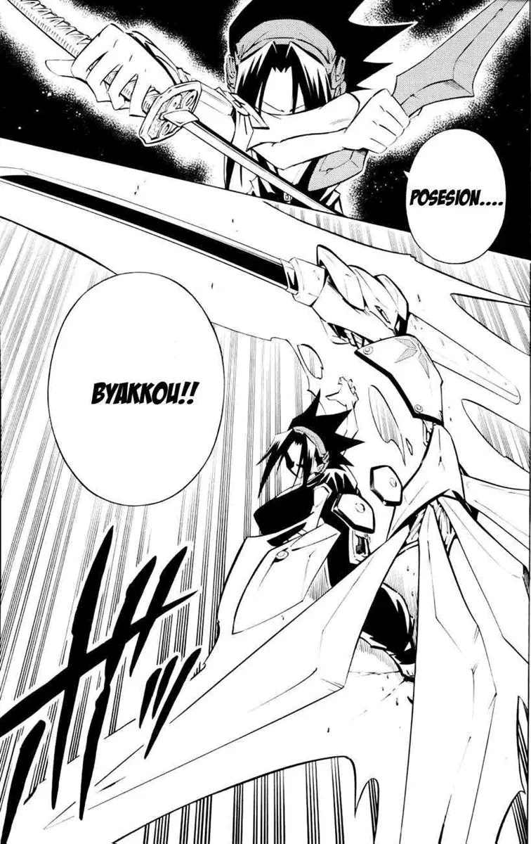 Shaman King (Kanzenban Edition) Capítulo 294 - página 7