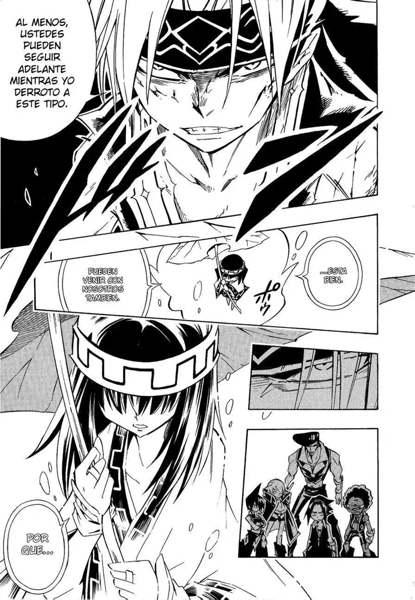 Shaman King (Kanzenban Edition) Capítulo 288 - página 17