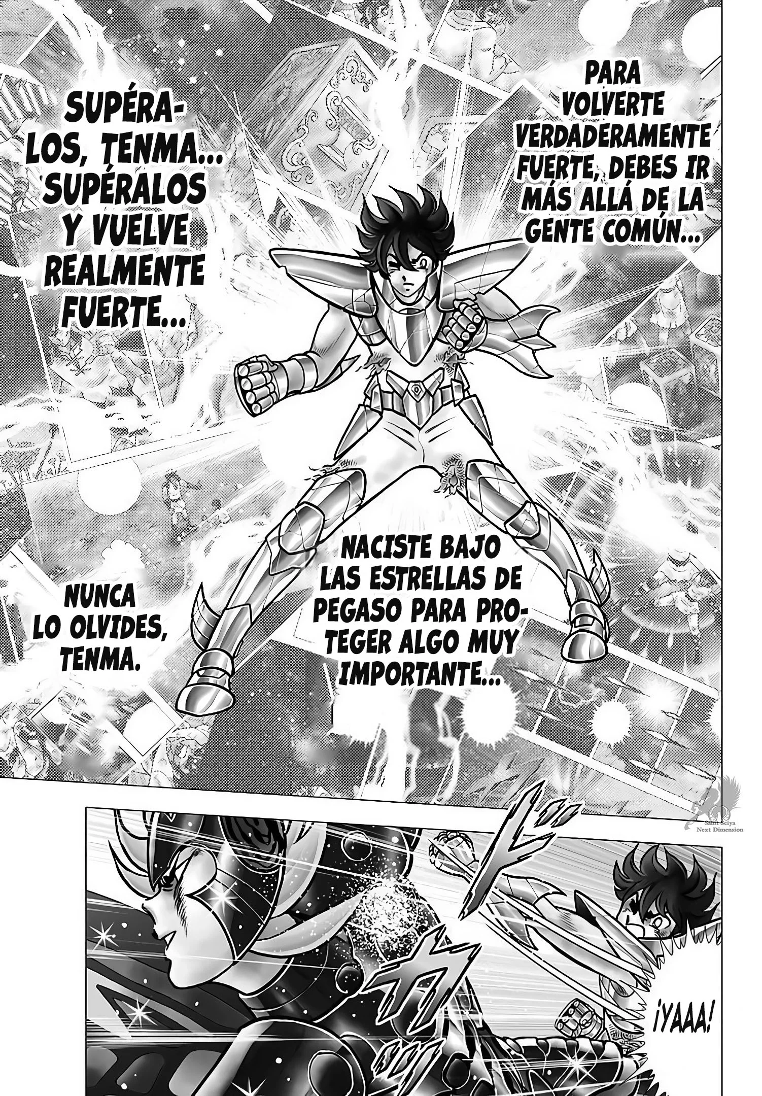 Saint Seiya: Next Dimension Capítulo 105 - página 9