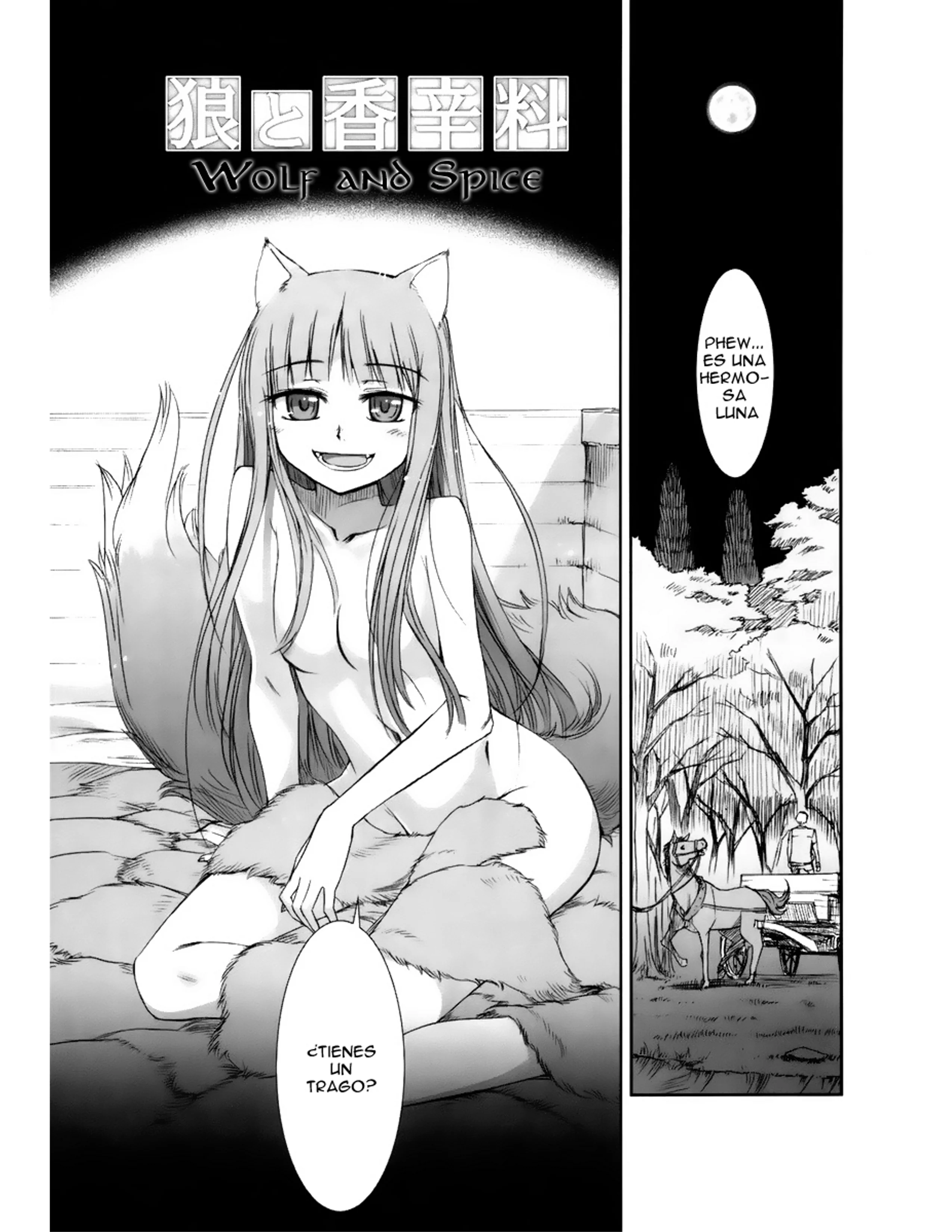 SPICE AND WOLF Capítulo 1 - página 35