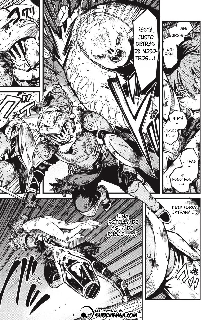 Goblin Slayer Year one Capítulo 132 - página 9