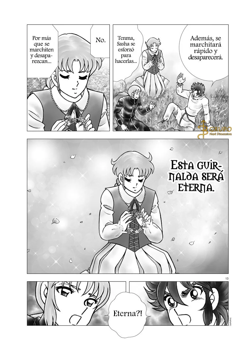 Saint Seiya: Next Dimension Capítulo 102 - página 13