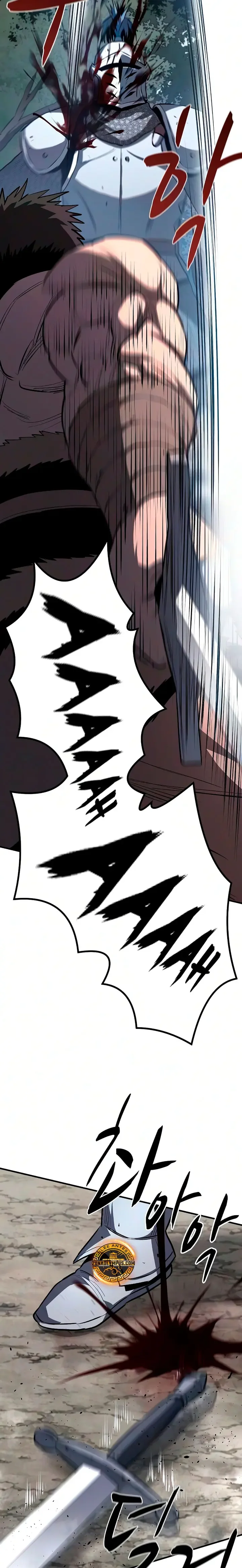 La segunda campaña del berserker Capítulo 27 - página 24