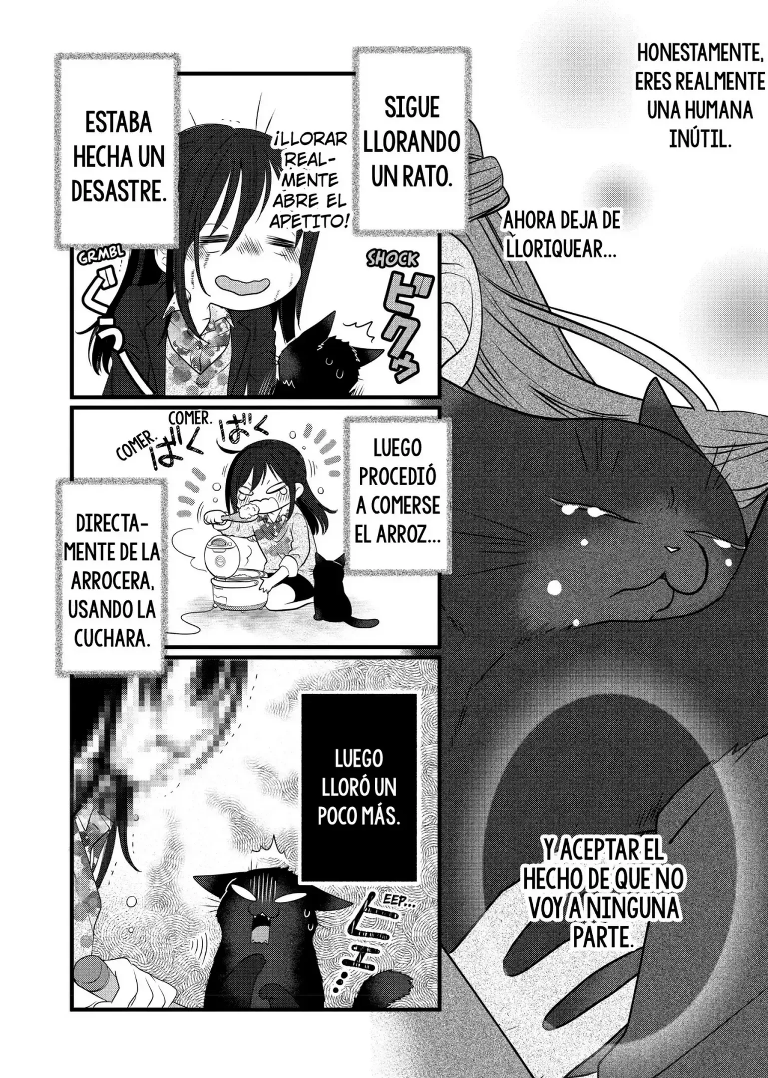 The Masterful Cat Is Depressed Again Capítulo 69.5 - página 15