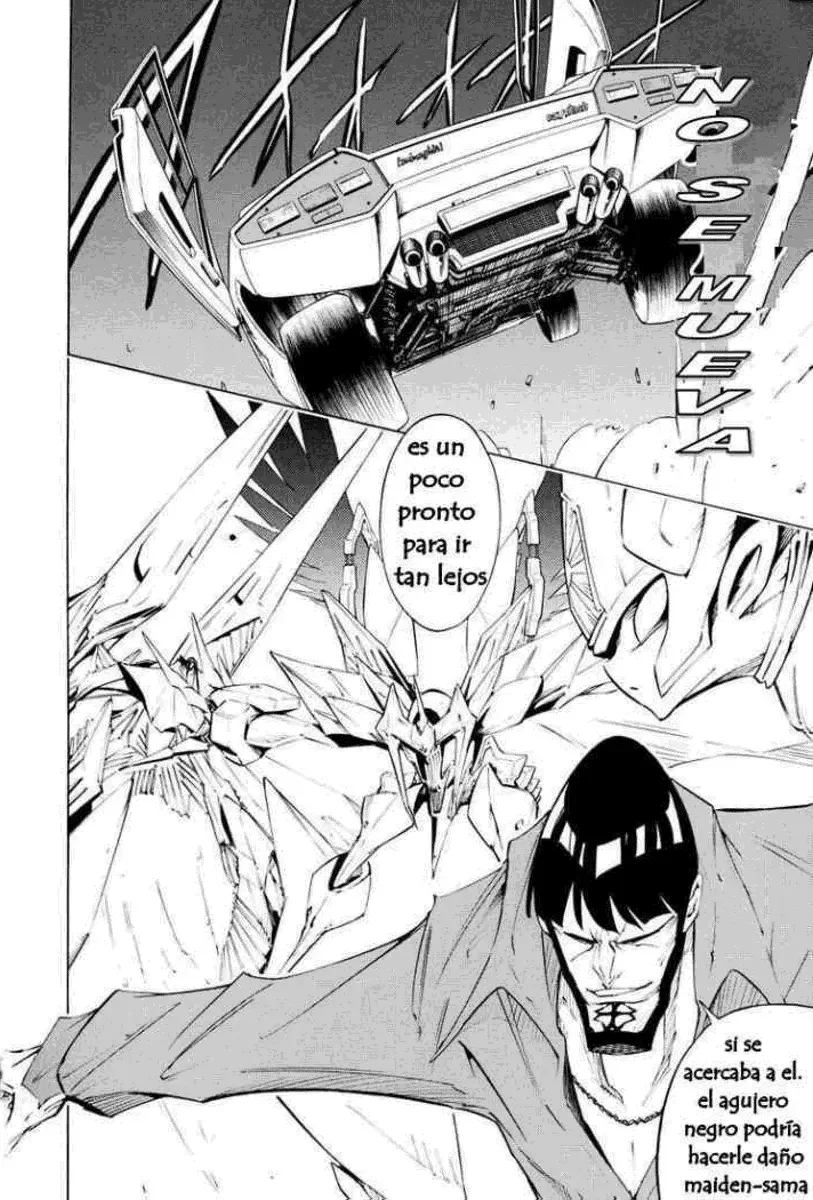 Shaman King (Kanzenban Edition) Capítulo 299 - página 44