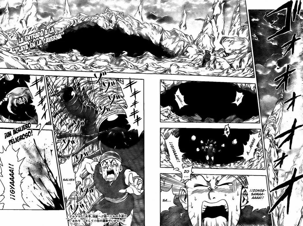 Toriko Capítulo 9 - página 17