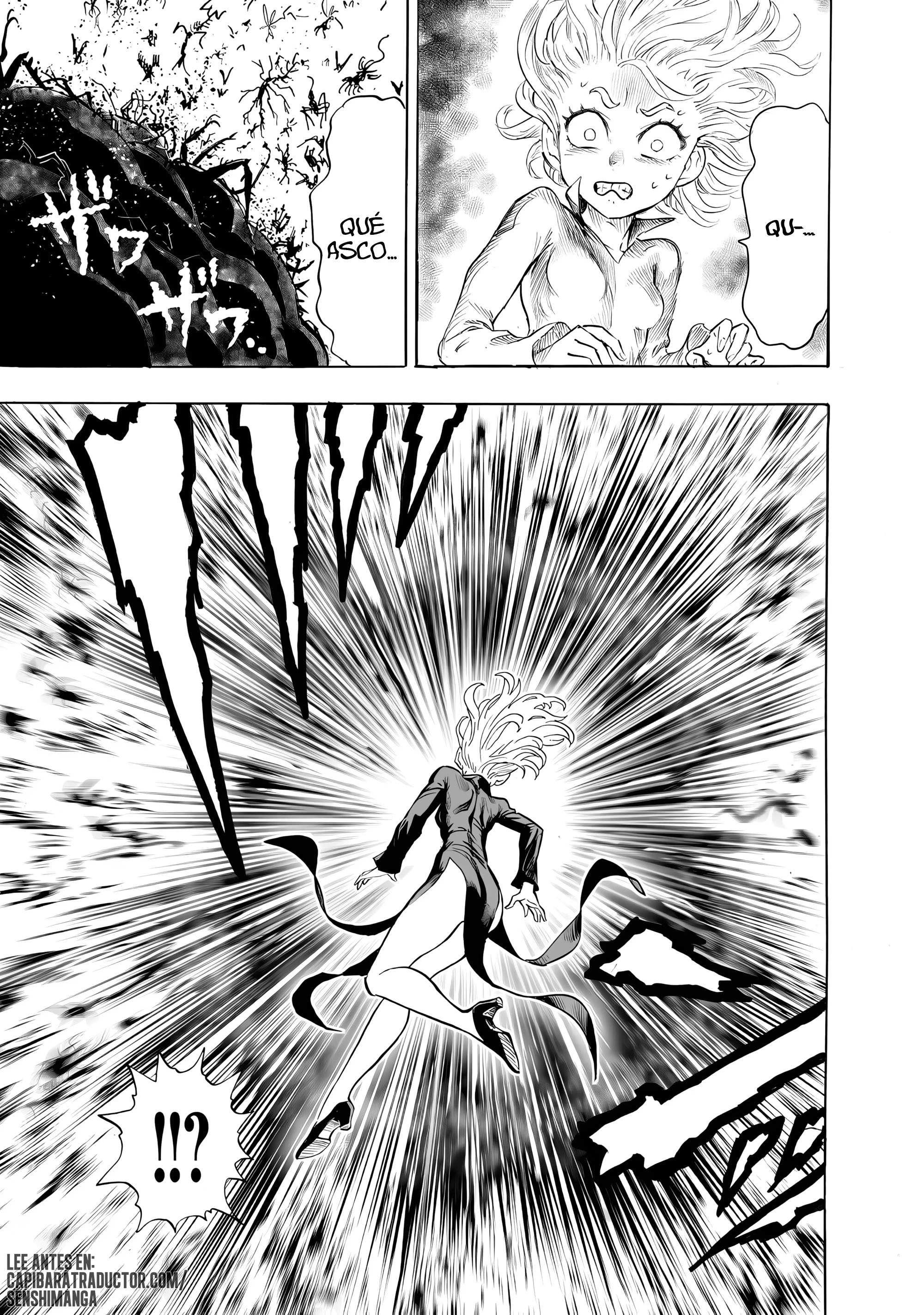 One Punch-Man Capítulo 293 - página 14