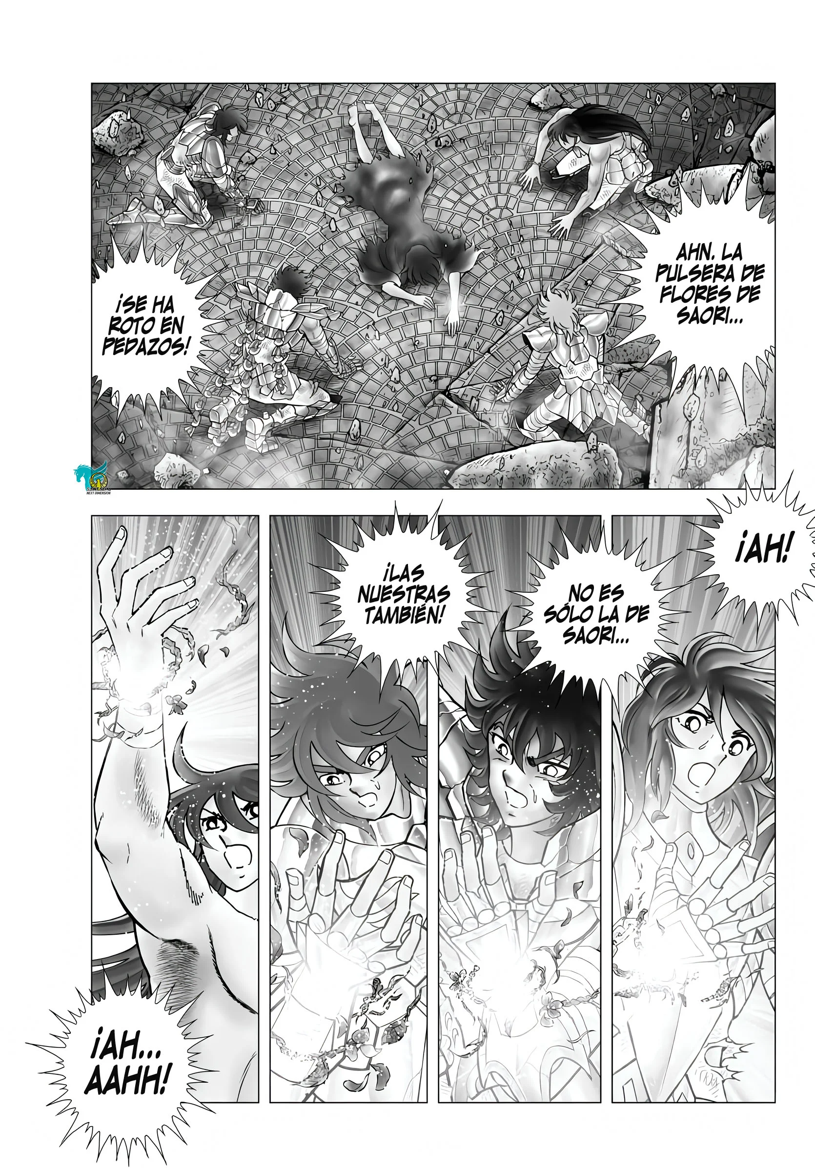 Saint Seiya: Next Dimension Capítulo 116 - página 5
