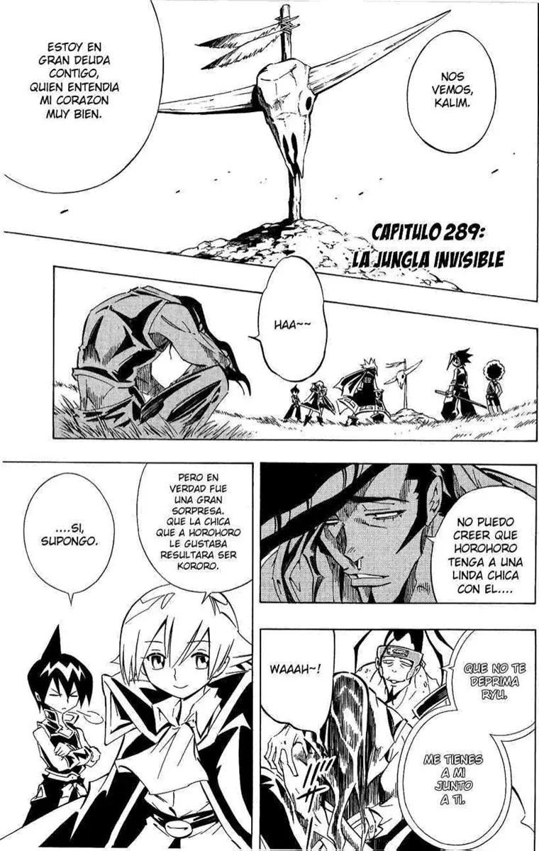Shaman King (Kanzenban Edition) Capítulo 288 - página 24