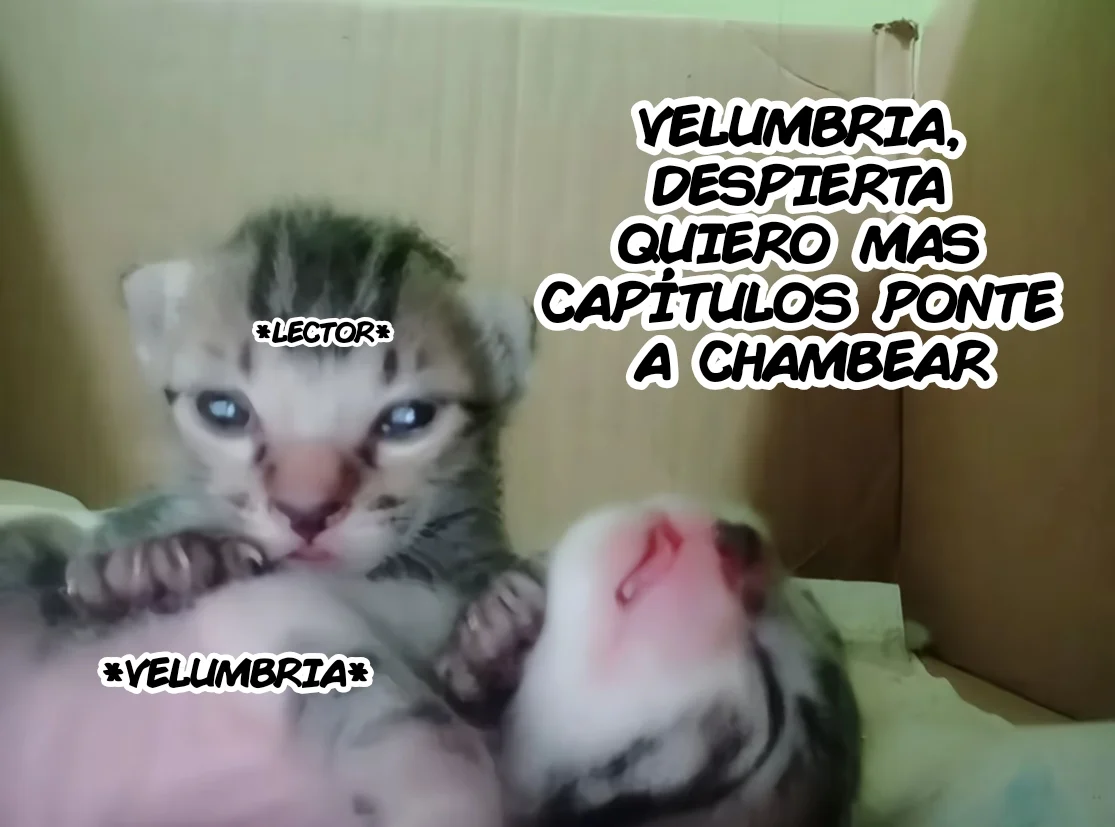 INVOCADOR DE LA CALAMIDAD Capítulo 5 - página 9