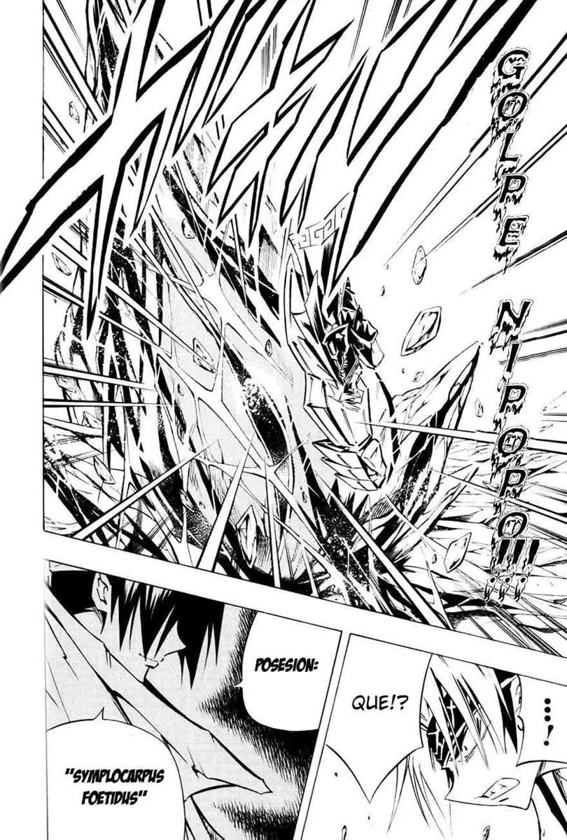 Shaman King (Kanzenban Edition) Capítulo 292 - página 11
