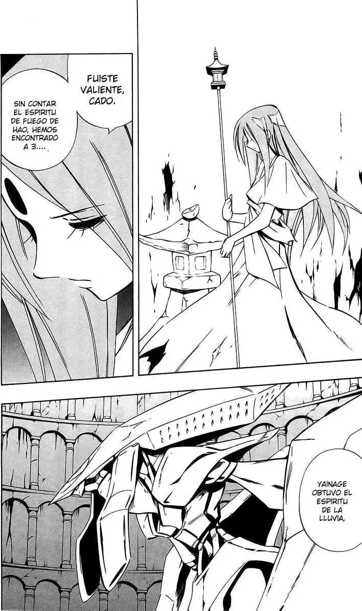 Shaman King (Kanzenban Edition) Capítulo 282 - página 27