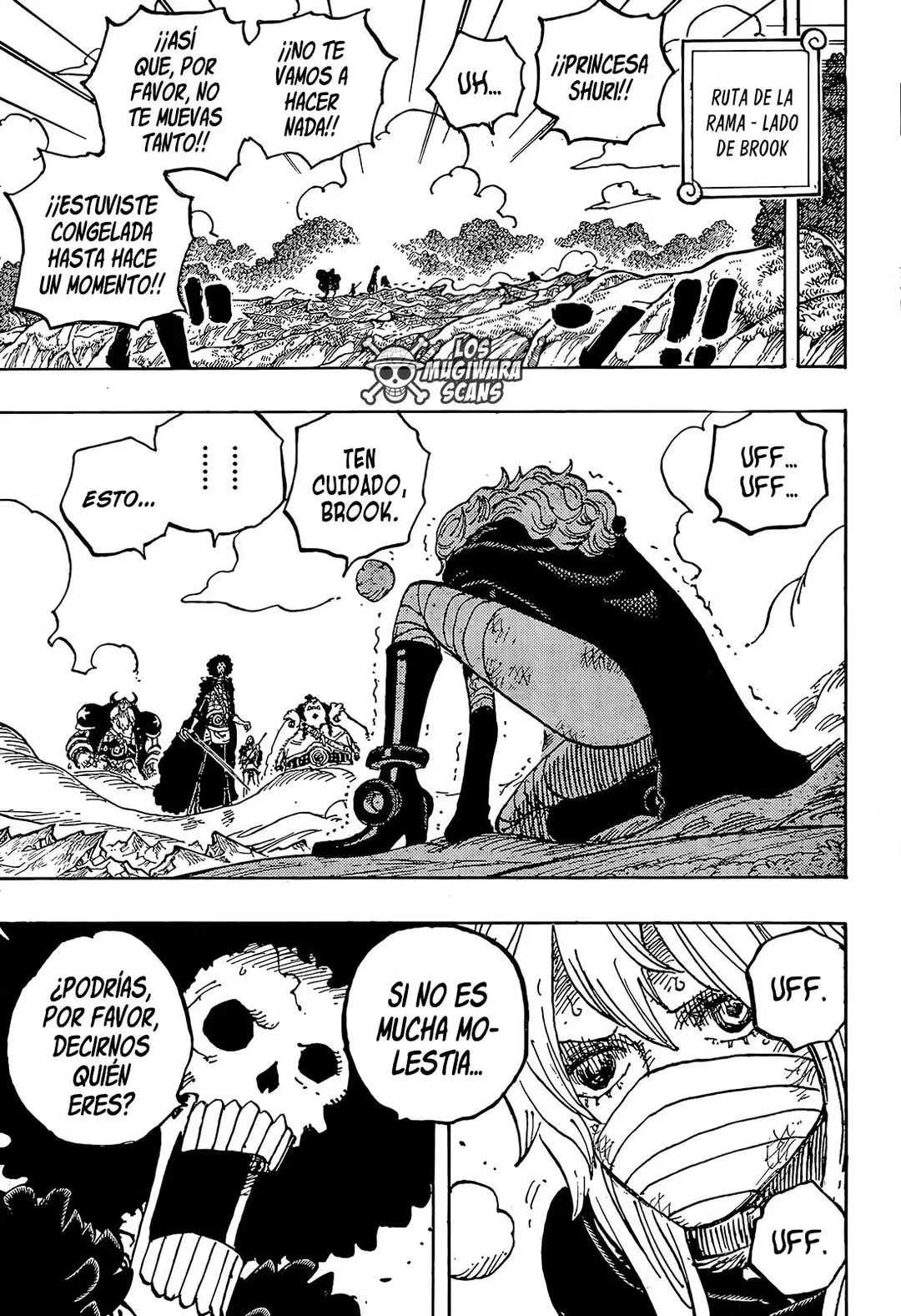 One Piece Capítulo 1195 - página 6