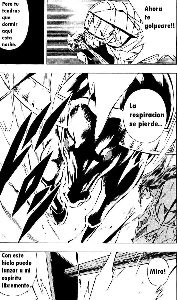 Shaman King (Kanzenban Edition) Capítulo 282 - página 13