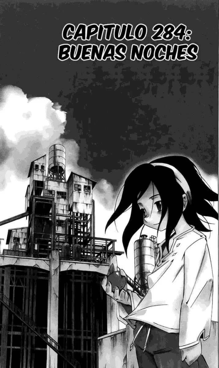 Shaman King (Kanzenban Edition) Capítulo 284 - página 1