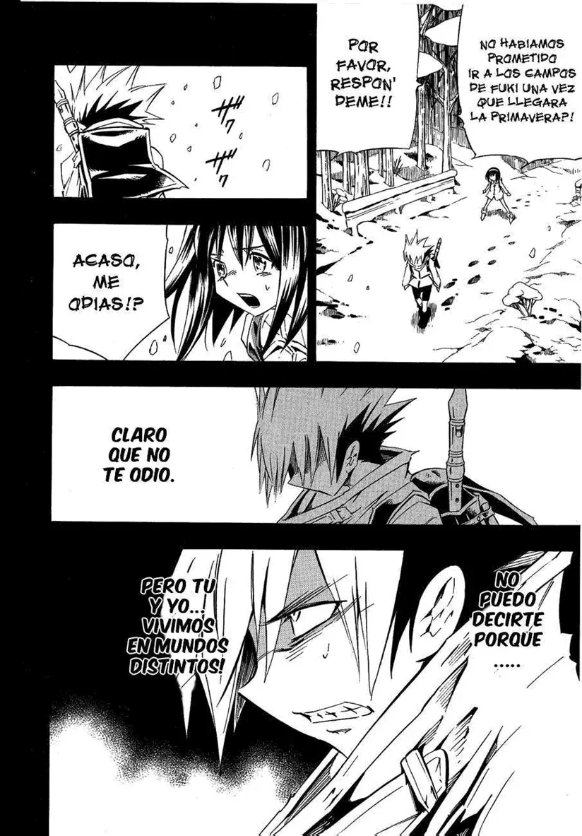 Shaman King (Kanzenban Edition) Capítulo 288 - página 12
