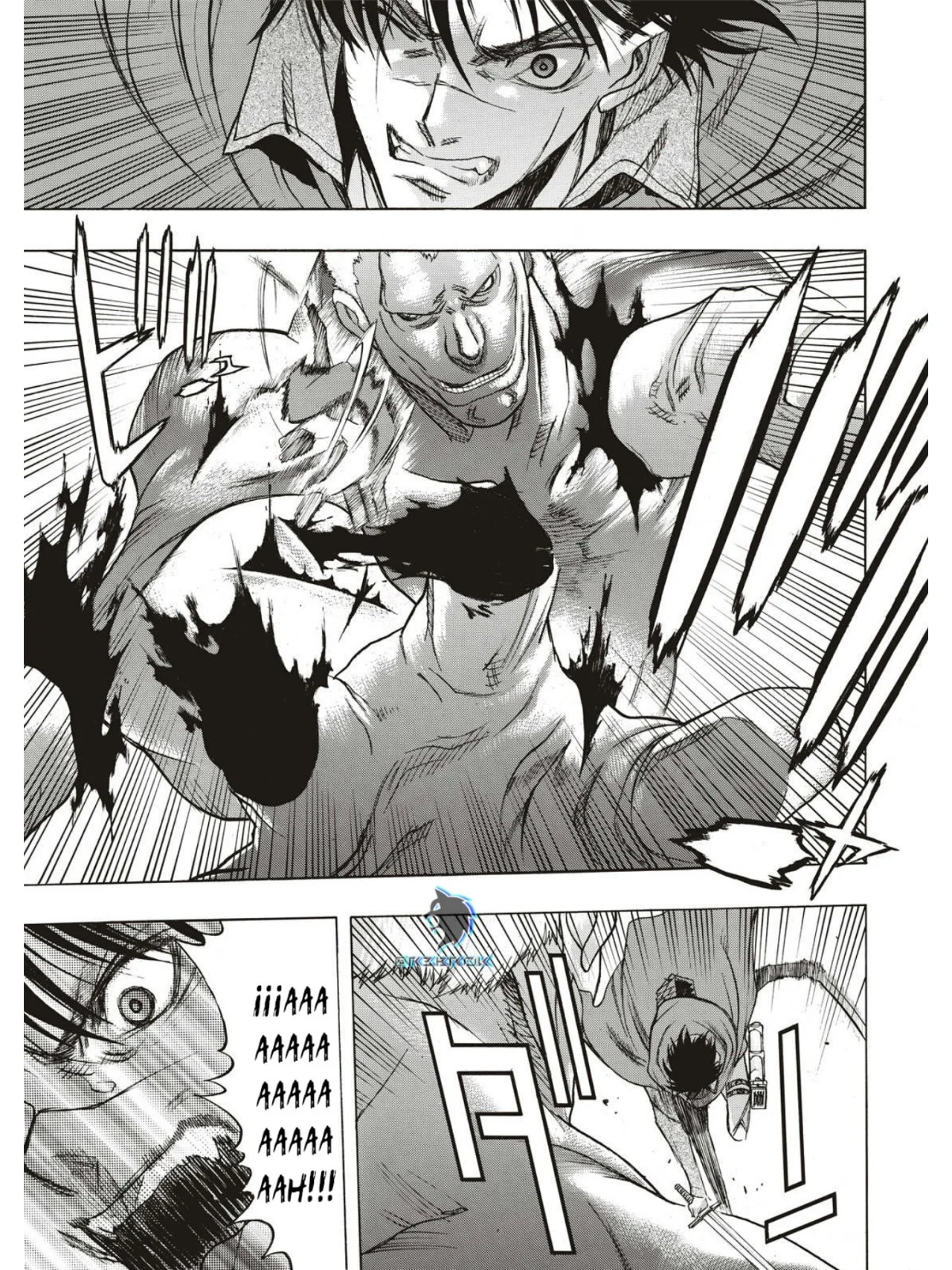 Shingeki no Kyojin: Antes de la Caída Capítulo 65 - página 24