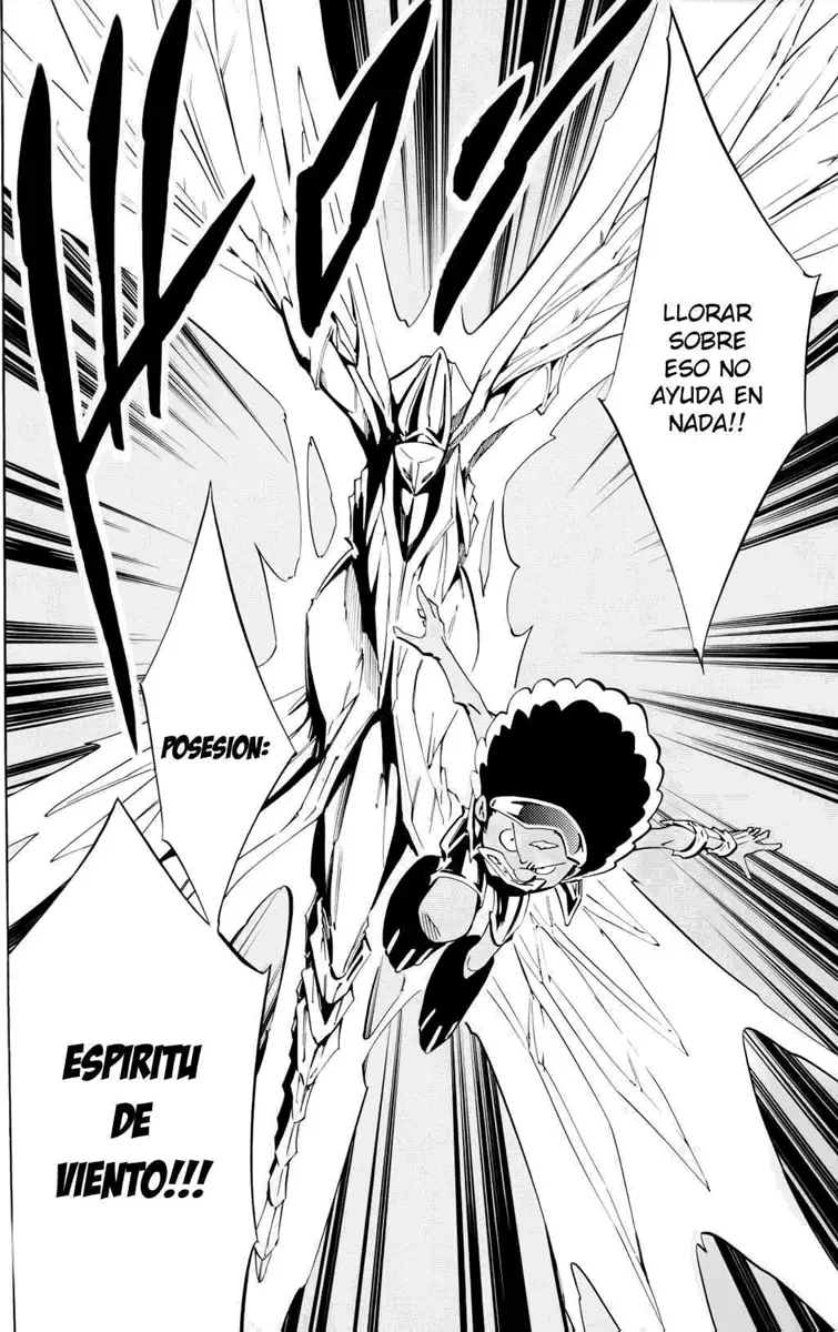 Shaman King (Kanzenban Edition) Capítulo 298 - página 20