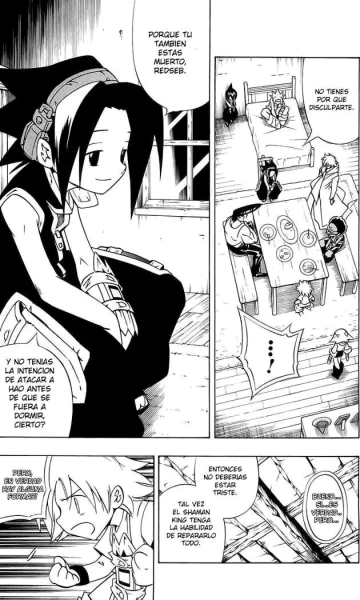 Shaman King (Kanzenban Edition) Capítulo 284 - página 3