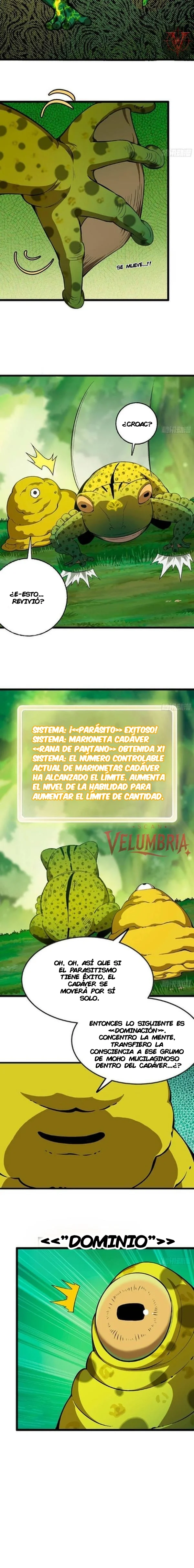 Yo, solo, como un hongo mucilaginoso Capítulo 24 - página 6