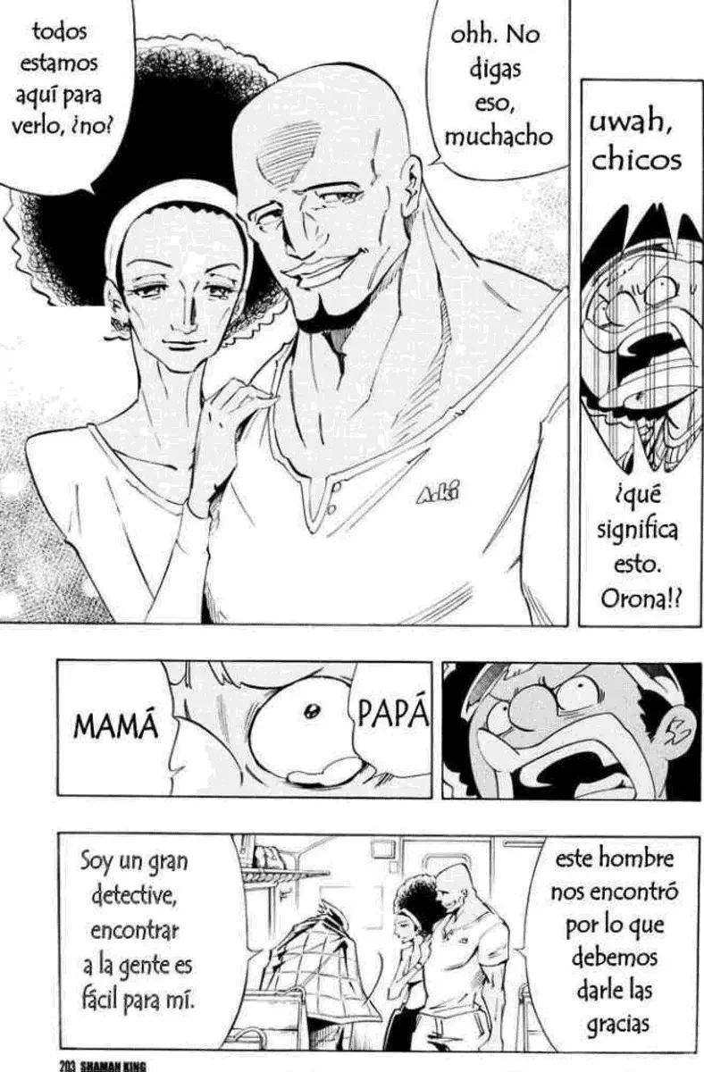 Shaman King (Kanzenban Edition) Capítulo 299 - página 33