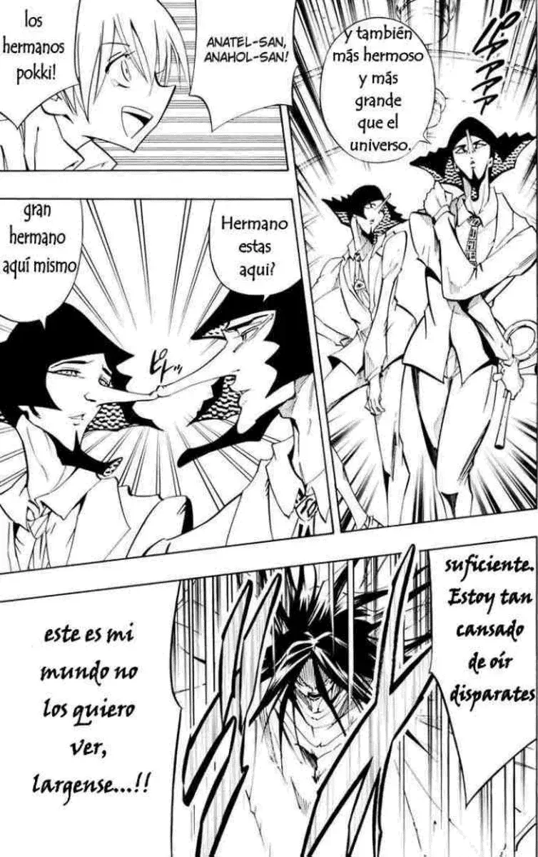 Shaman King (Kanzenban Edition) Capítulo 299 - página 37