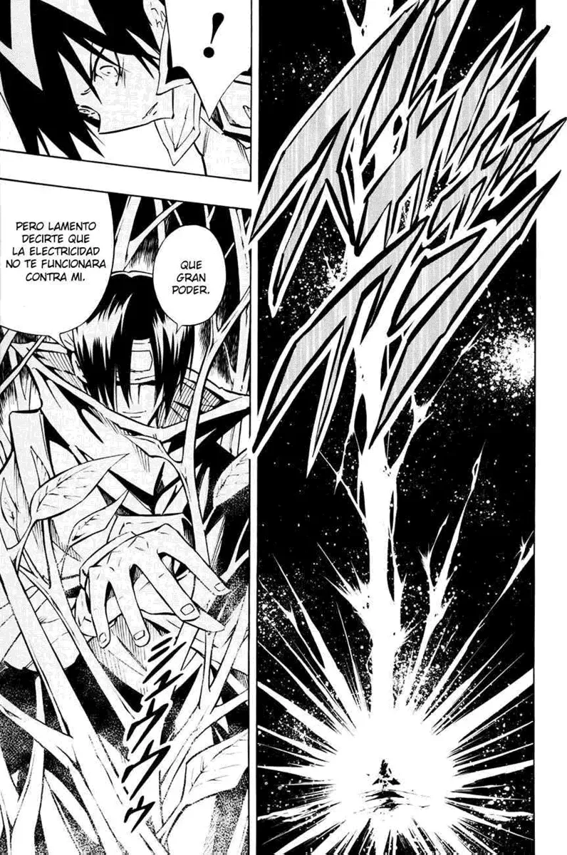 Shaman King (Kanzenban Edition) Capítulo 292 - página 8