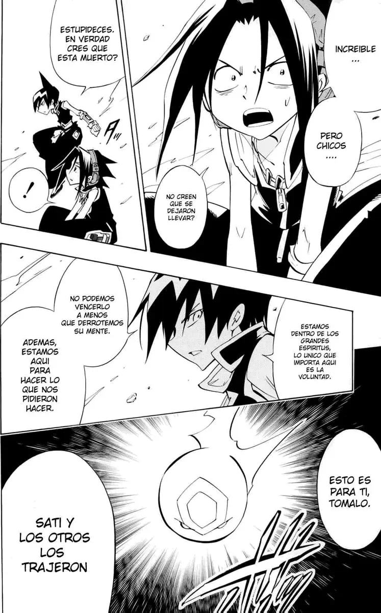Shaman King (Kanzenban Edition) Capítulo 298 - página 24