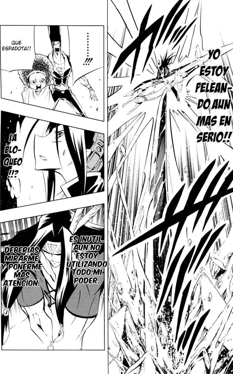 Shaman King (Kanzenban Edition) Capítulo 294 - página 12