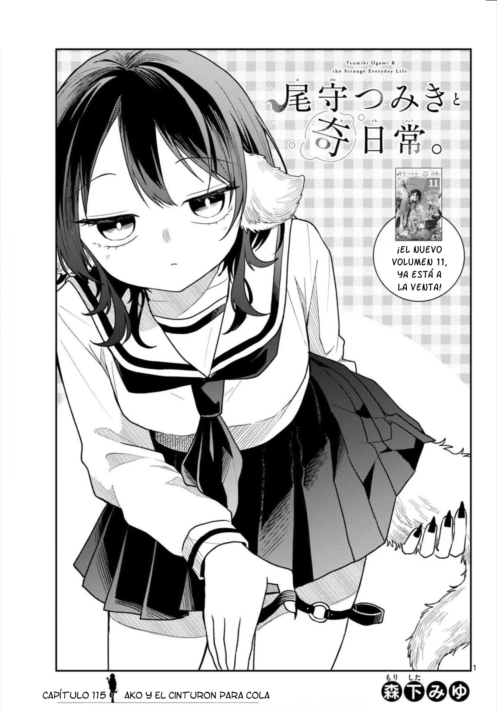 Ogami Tsumiki to Kinichijou Capítulo 115 - página 1