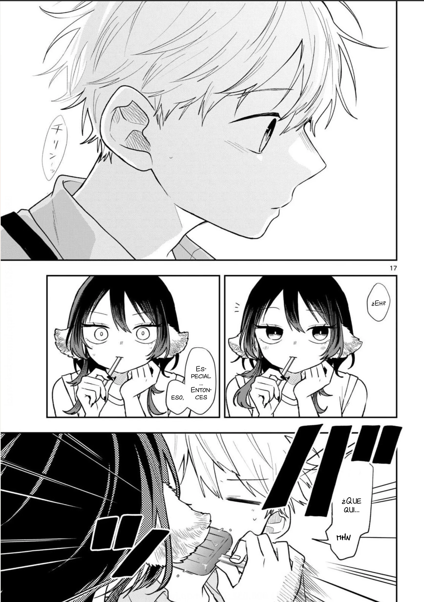 Ogami Tsumiki to Kinichijou Capítulo 117 - página 17