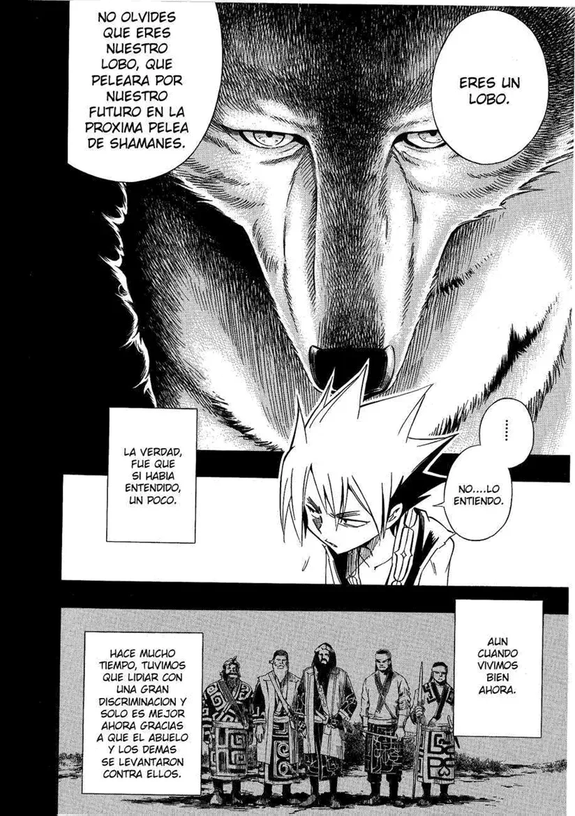 Shaman King (Kanzenban Edition) Capítulo 288 - página 10