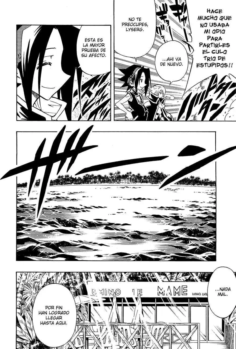 Shaman King (Kanzenban Edition) Capítulo 291 - página 18