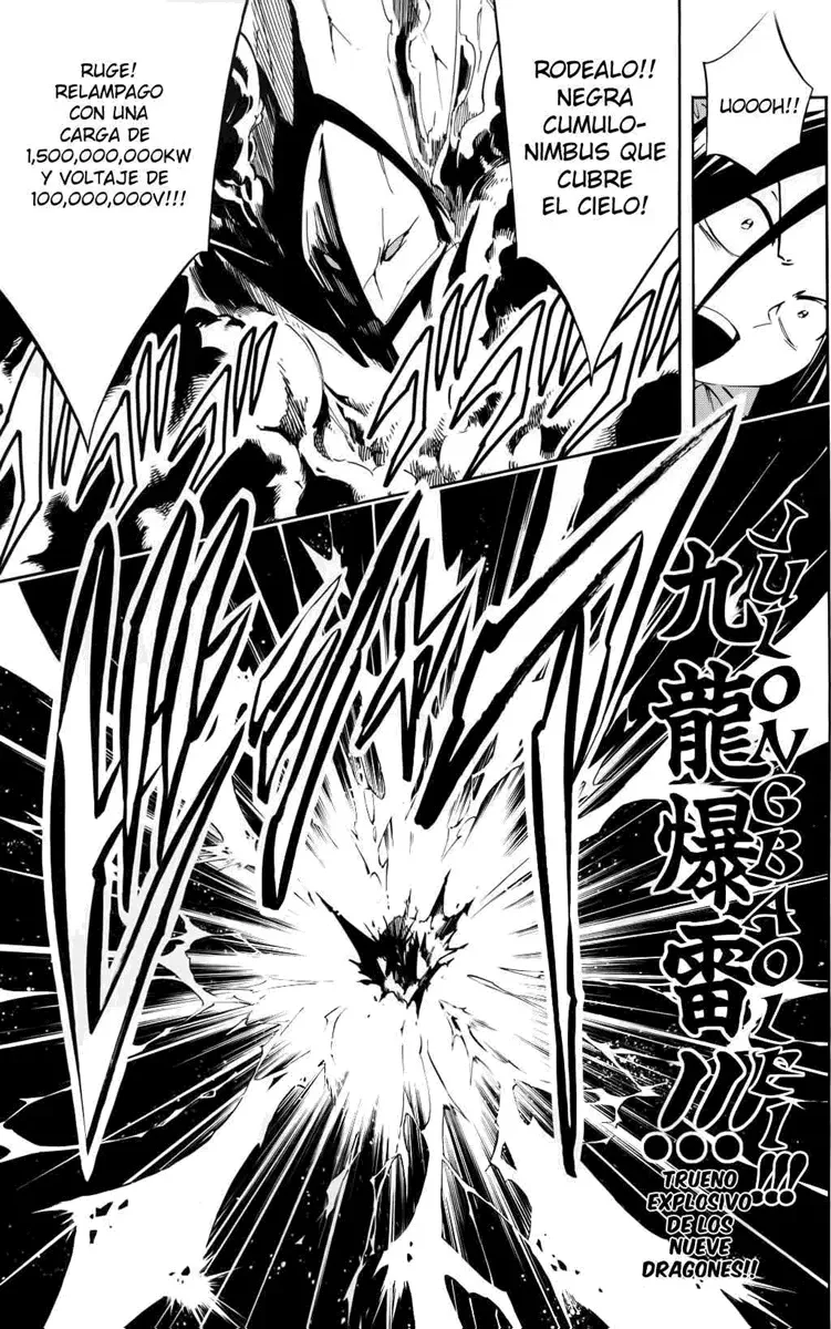 Shaman King (Kanzenban Edition) Capítulo 298 - página 17