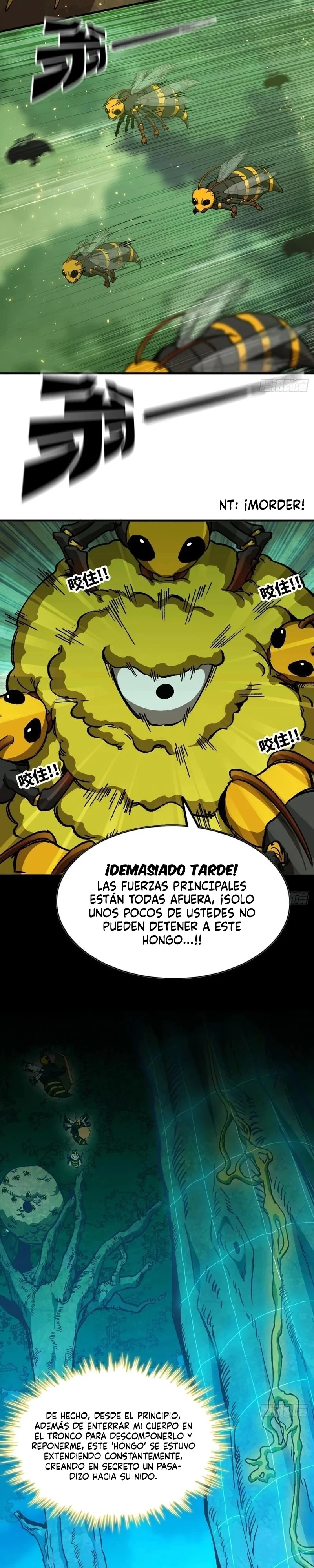 Yo, solo, como un hongo mucilaginoso Capítulo 10 - página 19
