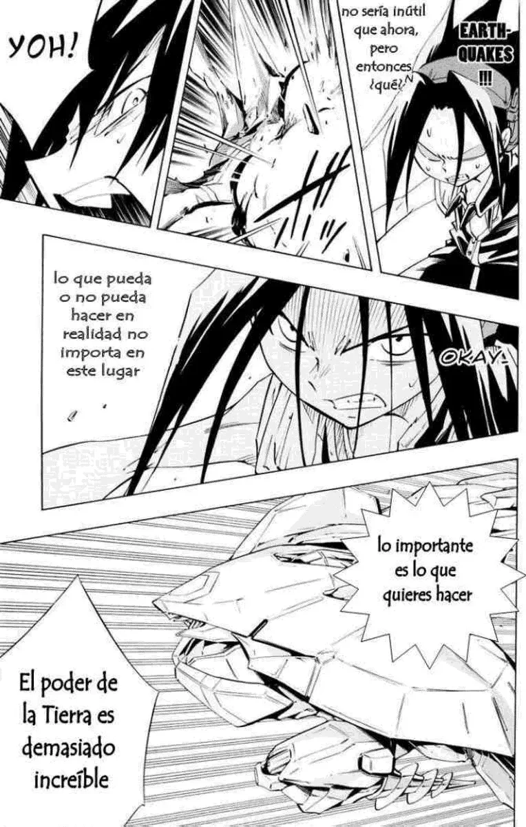 Shaman King (Kanzenban Edition) Capítulo 299 - página 16