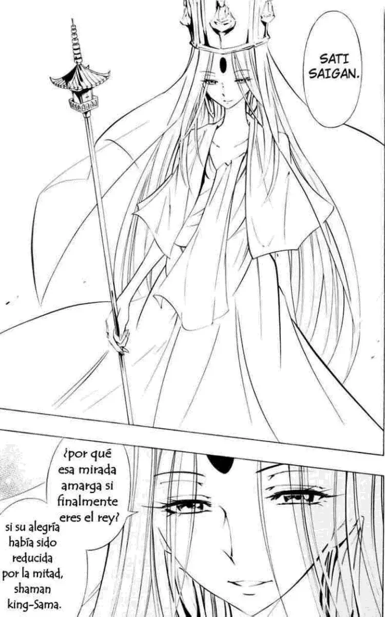 Shaman King (Kanzenban Edition) Capítulo 299 - página 51