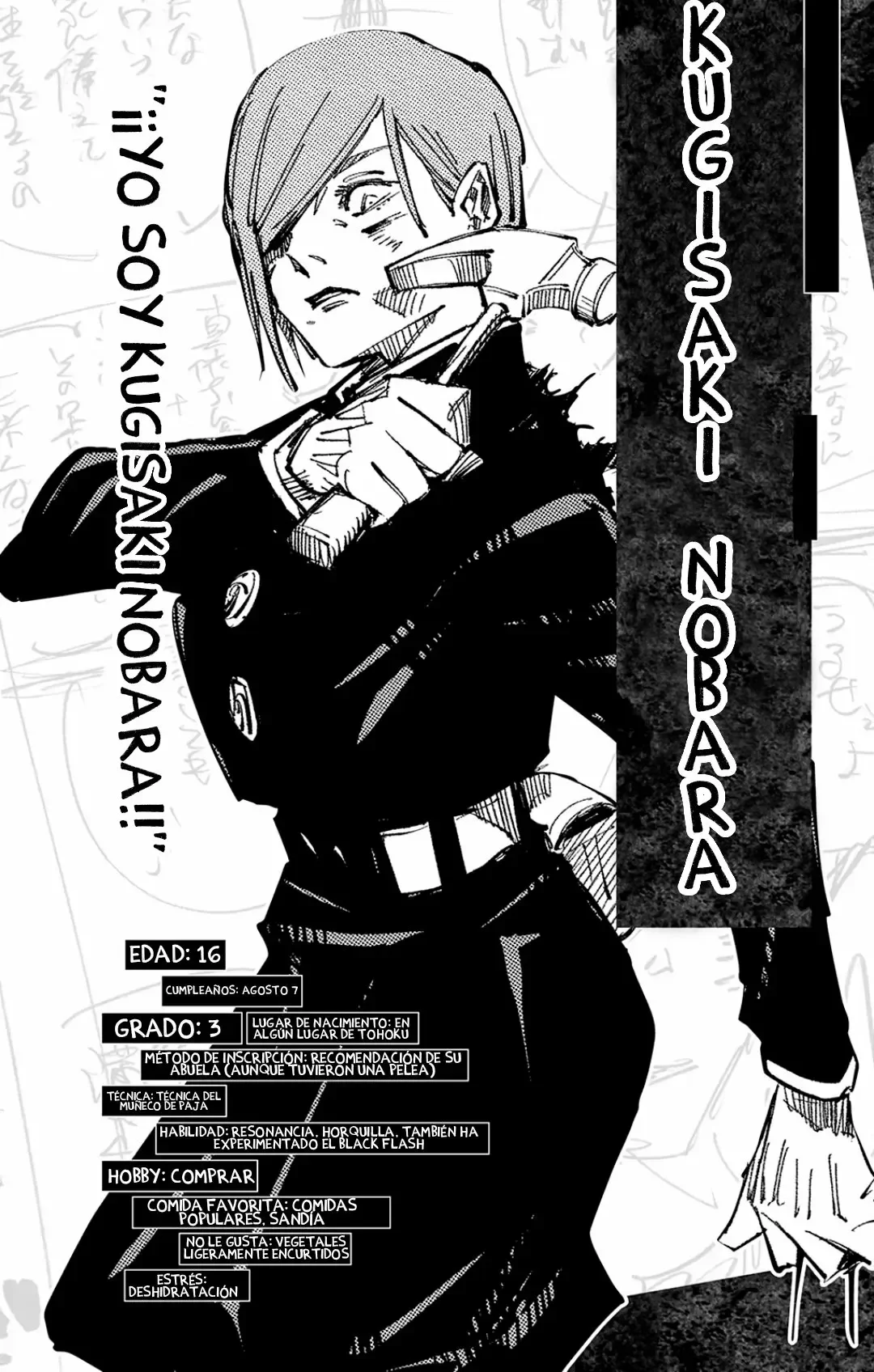 Jujutsu Kaisen: FANBOOK OFICIAL Capítulo 1 - página 13