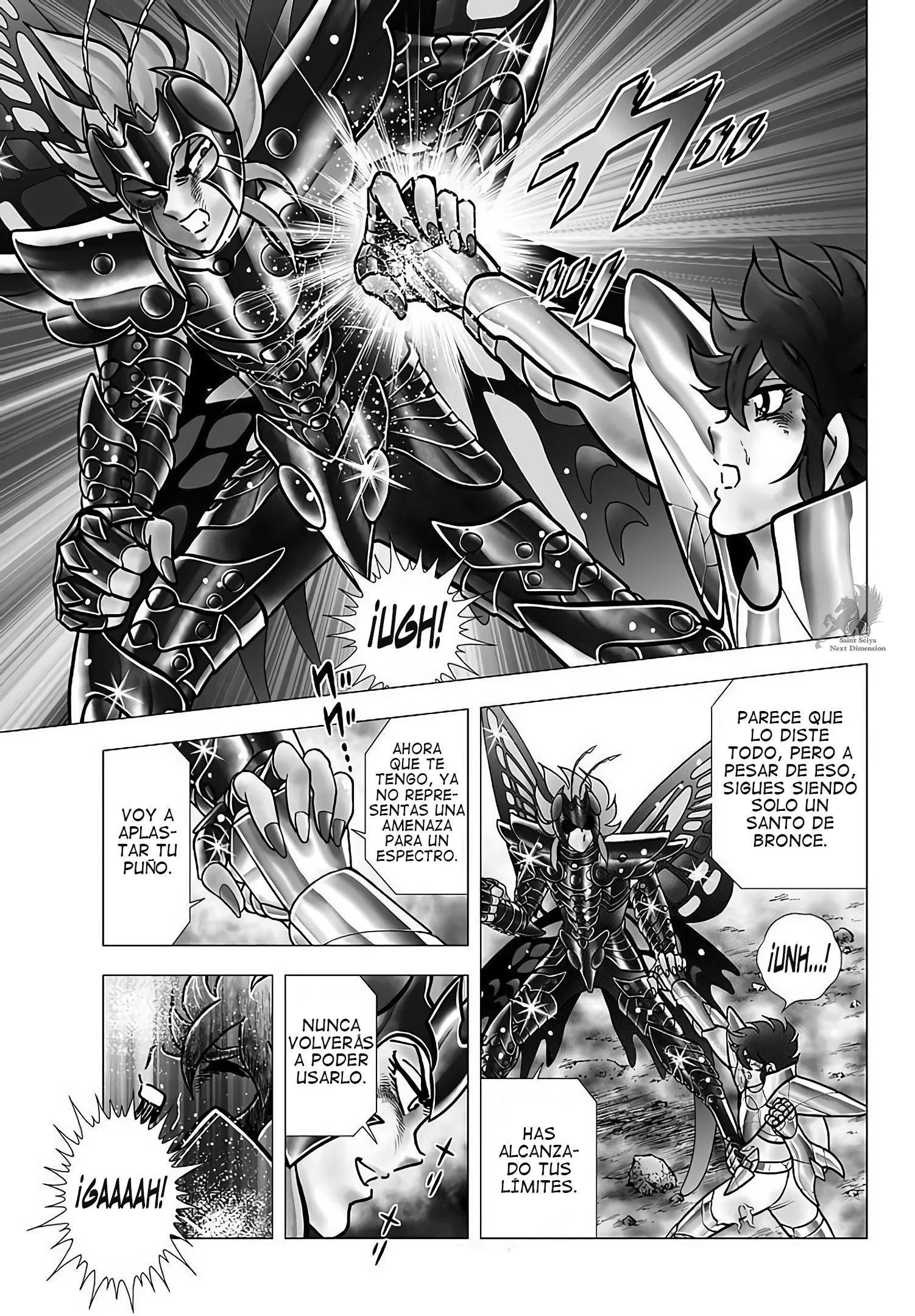 Saint Seiya: Next Dimension Capítulo 105 - página 11
