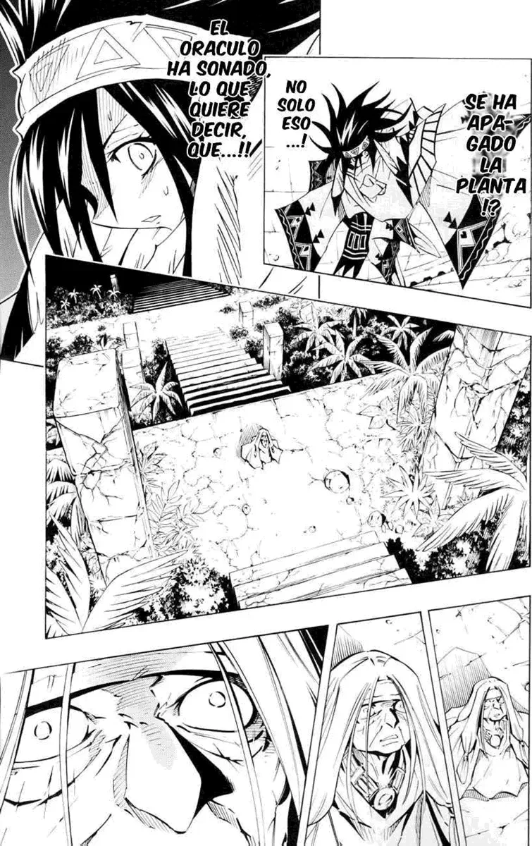 Shaman King (Kanzenban Edition) Capítulo 296 - página 17