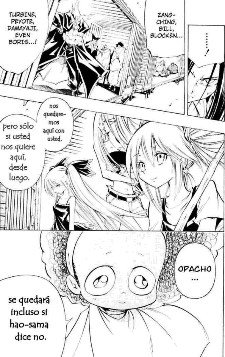 Shaman King (Kanzenban Edition) Capítulo 299 - página 47