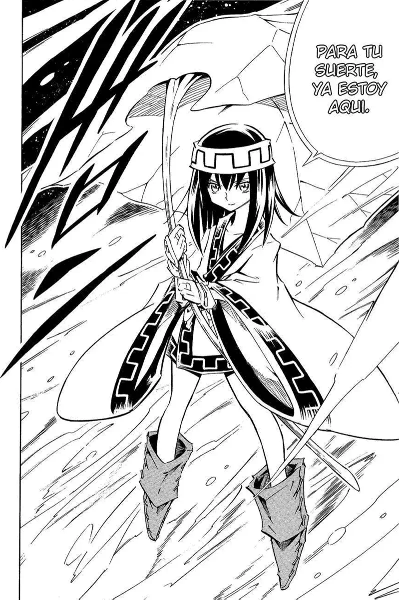 Shaman King (Kanzenban Edition) Capítulo 288 - página 18