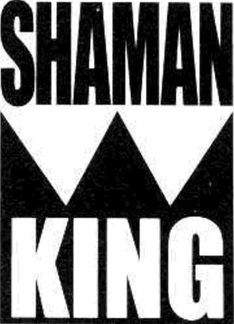 Shaman King (Kanzenban Edition) Capítulo 298 - página 32